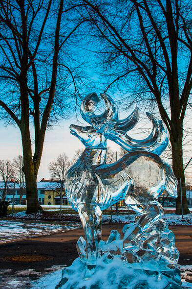 Eisdesigner Eisskulpturen Hirsch aus Eis